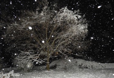 Mon arbre cette nuit du 4 mai, sous la neige...